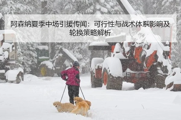 阿森纳夏季中场引援传闻：可行性与战术体系影响及轮换策略解析