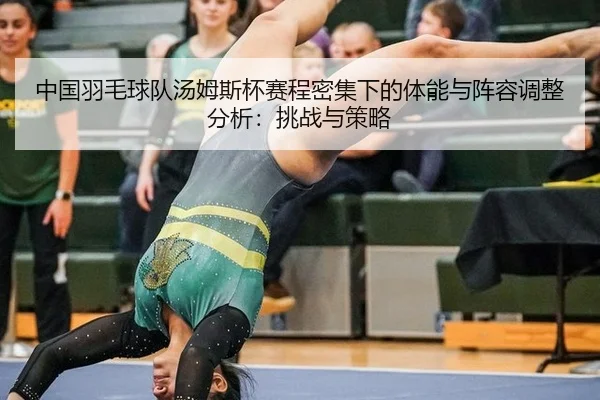 中国羽毛球队汤姆斯杯赛程密集下的体能与阵容调整分析：挑战与策略