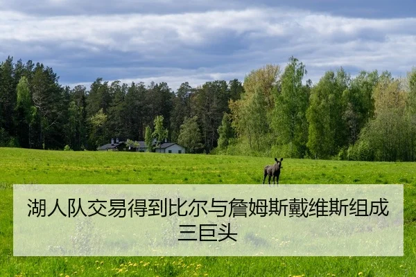 湖人队交易得到比尔与詹姆斯戴维斯组成三巨头